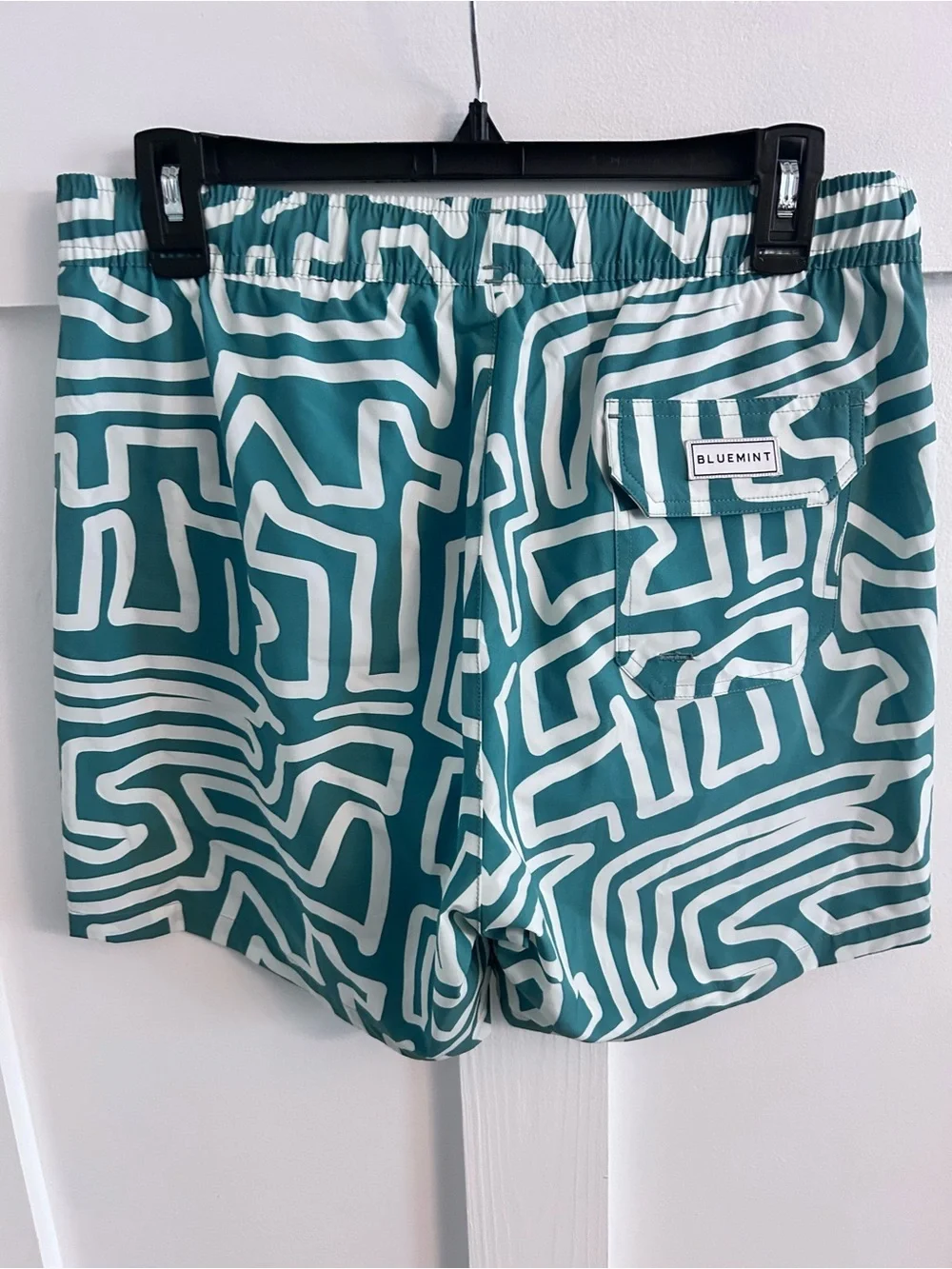 Bluemint arthus swim